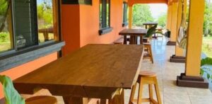 casa mano de tigre bb