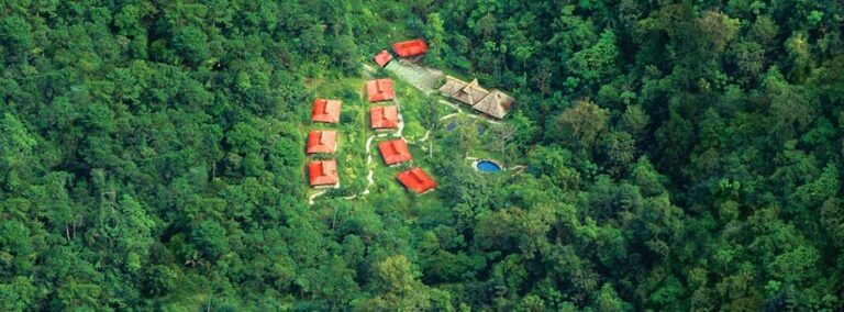 Esquinas Rainforest Lodge