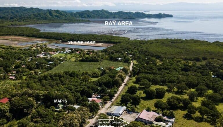 Mapi’s Cabins