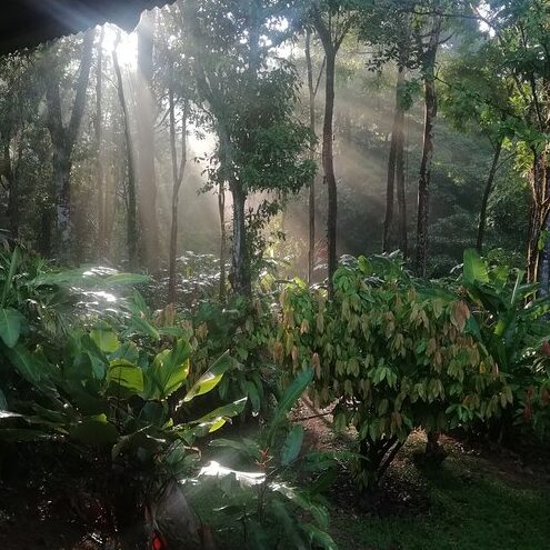 Rio Agujitas EcoFarm Hostel and Tours
