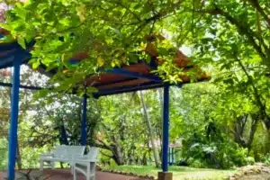 Serenity by Nature Hotel